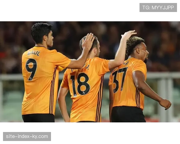 狼队防守组织严密默契配合 快速反击利用对手进攻空当